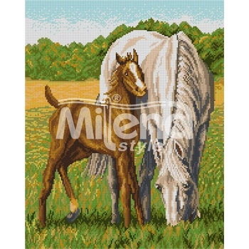 Milena Style Кончета в полето - гоблен със схема конци dmc 1: 4