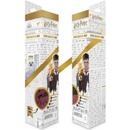 Image 1 of Grupo Erik Harry Potter XL