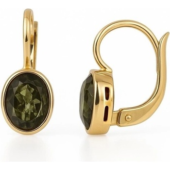 Vltavín Moldavite Zlaté náušnice s vltavínem ovál 2000367480000A