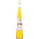 Galliano L'autentico 42,3% 0,7 l (čistá fľaša)