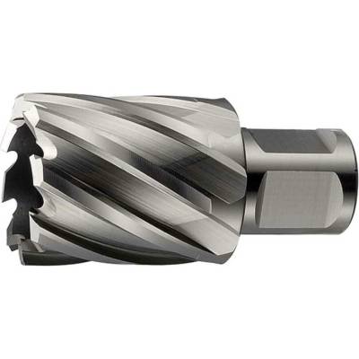 ABSE N-HS-W19-0650025