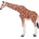 Mojo Фигурка Mojo Wildlife - Жираф, женски (381033)