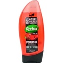Radox Men Feel Powerful 2in1 sprchový gel 250 ml