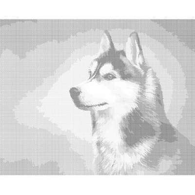 ZUTY Bodkovanie - SIBÍRSKY HUSKY Rámovanie: vypnuté plátno na rám, Rozmer: 40x50 cm