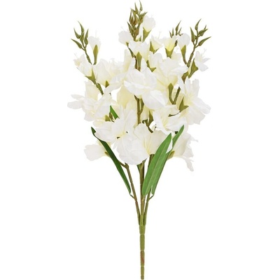 KYTICA GLADIOLA x5 75CM BIELA
