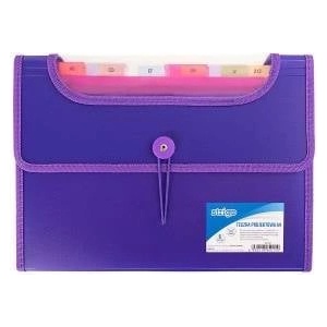 Strigo Design Briefcase VFILE A4 with 6 blades purple strigo