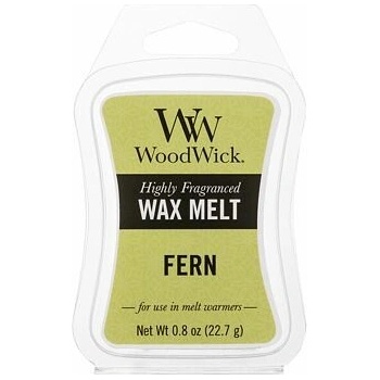 WoodWick vonný vosk do aróma lampy Fern Papraď 22,7 g
