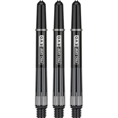 Target - darts Chrono Titanium - Raymond Van Barneveld - medium