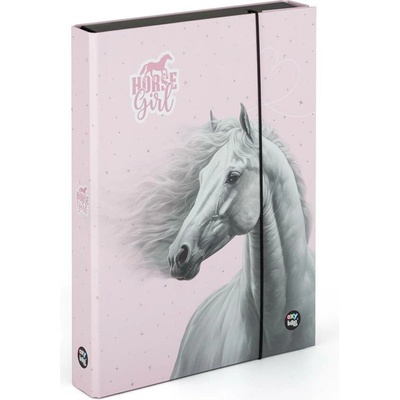Karton P+P A4 Jumbo Kůň Romantic 5-71019