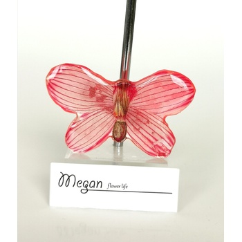 Meganflo Брошка - червена пеперуда