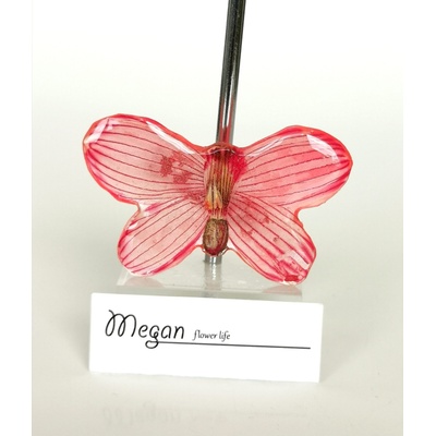 Meganflo Брошка - червена пеперуда