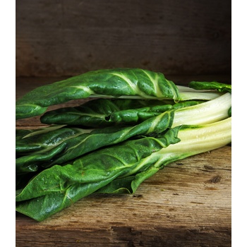 BIO Mangold Lucullus - Beta vulgaris - bio semená mangoldu - 45 ks