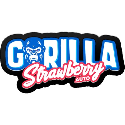 FAST BUDS Strawberry Gorilla AUTO semena neobsahují THC 10 ks