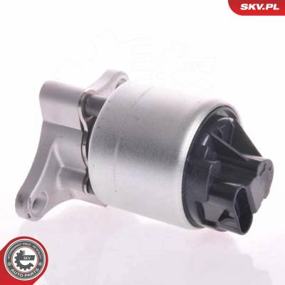AGR - Ventil ESEN SKV 14SKV002 14SKV002