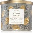 Bath & Body Works Autumn Woods 411 g