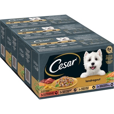 Cesar Country Kitchen Adult Favourites míchané 48 x 150 g