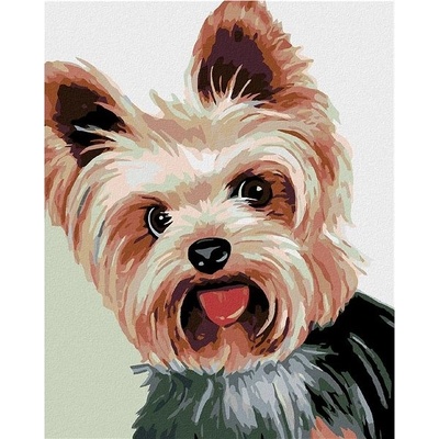 Zuty Malování podle čísel Jorkšírek II 80 x 100 cm vypnuté plátno na rám