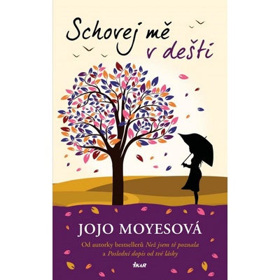 Schovej mě v dešti, Jojo Moyesová