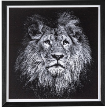 Bizzotto КАРТИНА С РАМКА evidence 104 43x3, 2x43 (0240878)