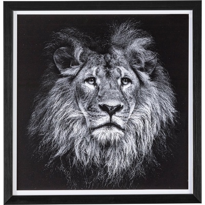 Bizzotto КАРТИНА С РАМКА evidence 104 43x3, 2x43 (0240878)