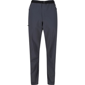 Regatta Xert Str Trs III Размер: XL / Дължина на панталона: short / Цвят: сив