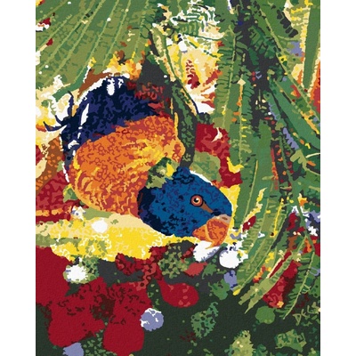 Zuty malování Podle čísel Papoušek Hlavou Dolů 40 x 50 Cm Plátno Rám