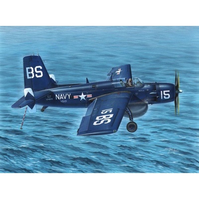 Special Hobby AF 2W Guardian Submarine Hunter 1:48