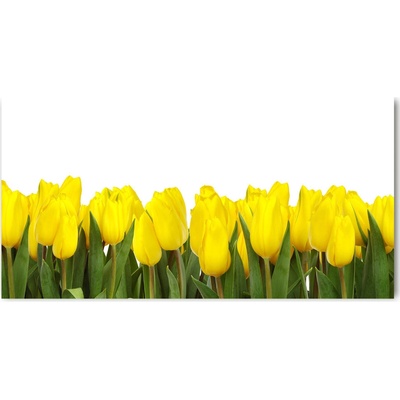 Foto obraz sklo tvrzené žlté tulipány 100x50 cm