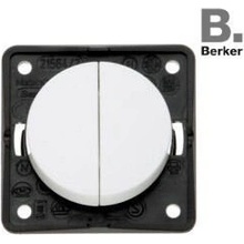 Berker integro 321/250