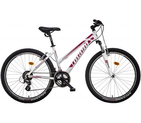 MAYO XC BASIC D 2026