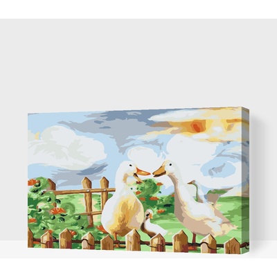 Vymalujsisam Malování podle čísel Kachní rodina na zahradě