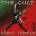 The Cult - Sonic Temple (30th Anniversary) (2 LP) (607618215118)