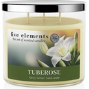 Five Elements Tuberose 420 g