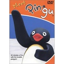 Pingu DVD