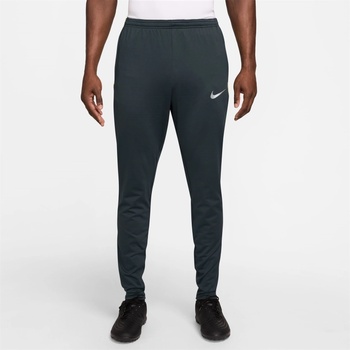 Nike Strike Winter Warrior Pant - Seaweed Reflect