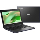 Asus Chromebook CR11 Flip CR1102FGA-MK0089