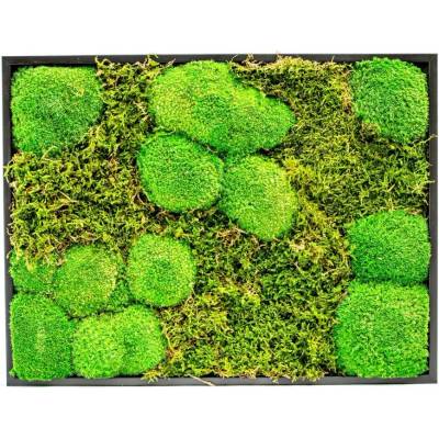 Gardners Mechový obraz 30x40 cm kombinovaný mech kopečkový s plochým, černá