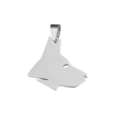 Šperky4U Ocelový přívěšek pes DR1310