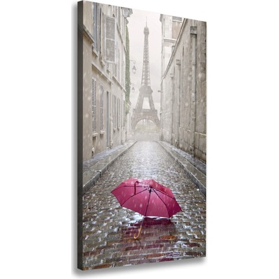 Vertikálny foto obraz na plátne Dáždnik Francúzsko 50x100 cm