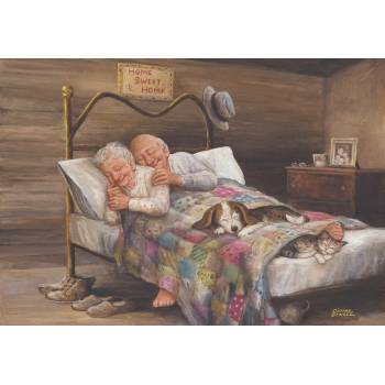 Anatolian - Puzzle No Place Like Home - 500 piese