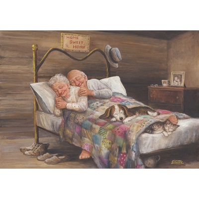 Anatolian - Puzzle No Place Like Home - 500 piese