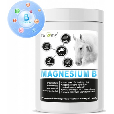 Dromy Magnesium B 100 100 denních dávek 1 kg – Zbozi.Blesk.cz