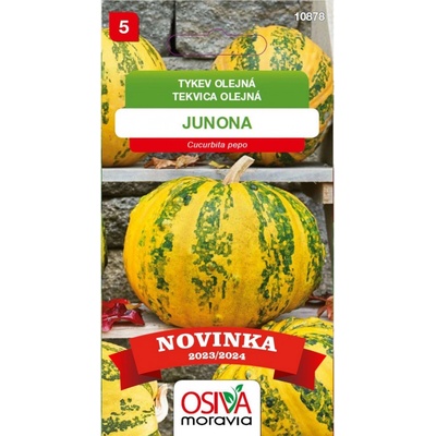 Aros Semena Tykev olejná Junona (Cucurbita pepo)