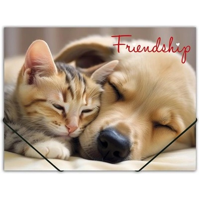 Panta Plast Гумена папка, 15 мм, PP, A4, PANTA PLAST "Friendship" 0410-0064-55 (0410-0064-55)
