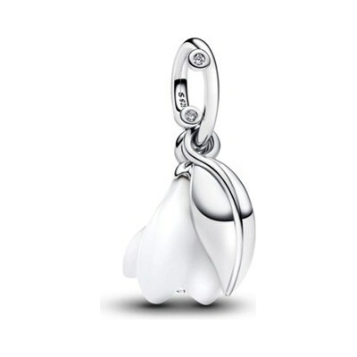 Pandora 794239C01