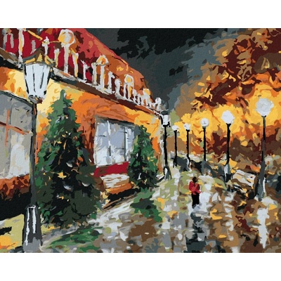 zuty Malování Podle Čísel Noční Město A Svítící Lampy 40 x 50 Cm Plátno Rám