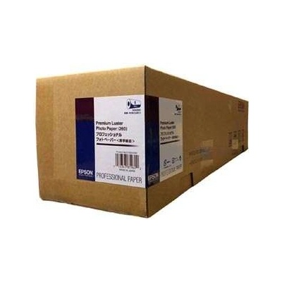 Epson C13S042080