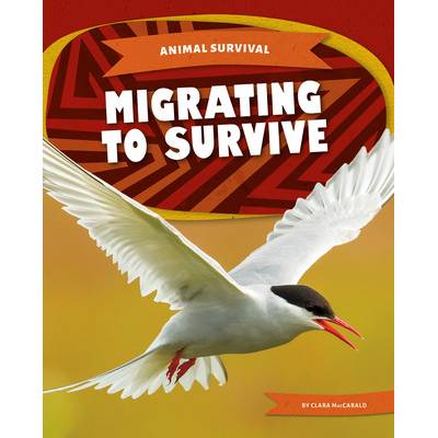 Migrating to Survive Maccarald Clara