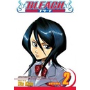 Bleach, Vol. 2