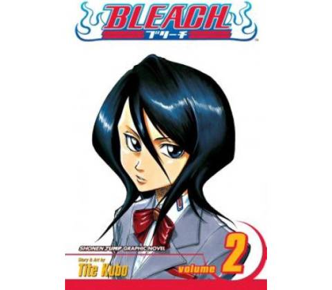 Bleach, Vol. 2